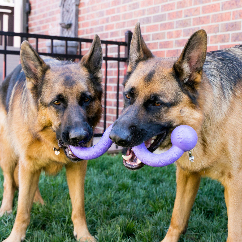 Ogee Stick, Assorted Colors