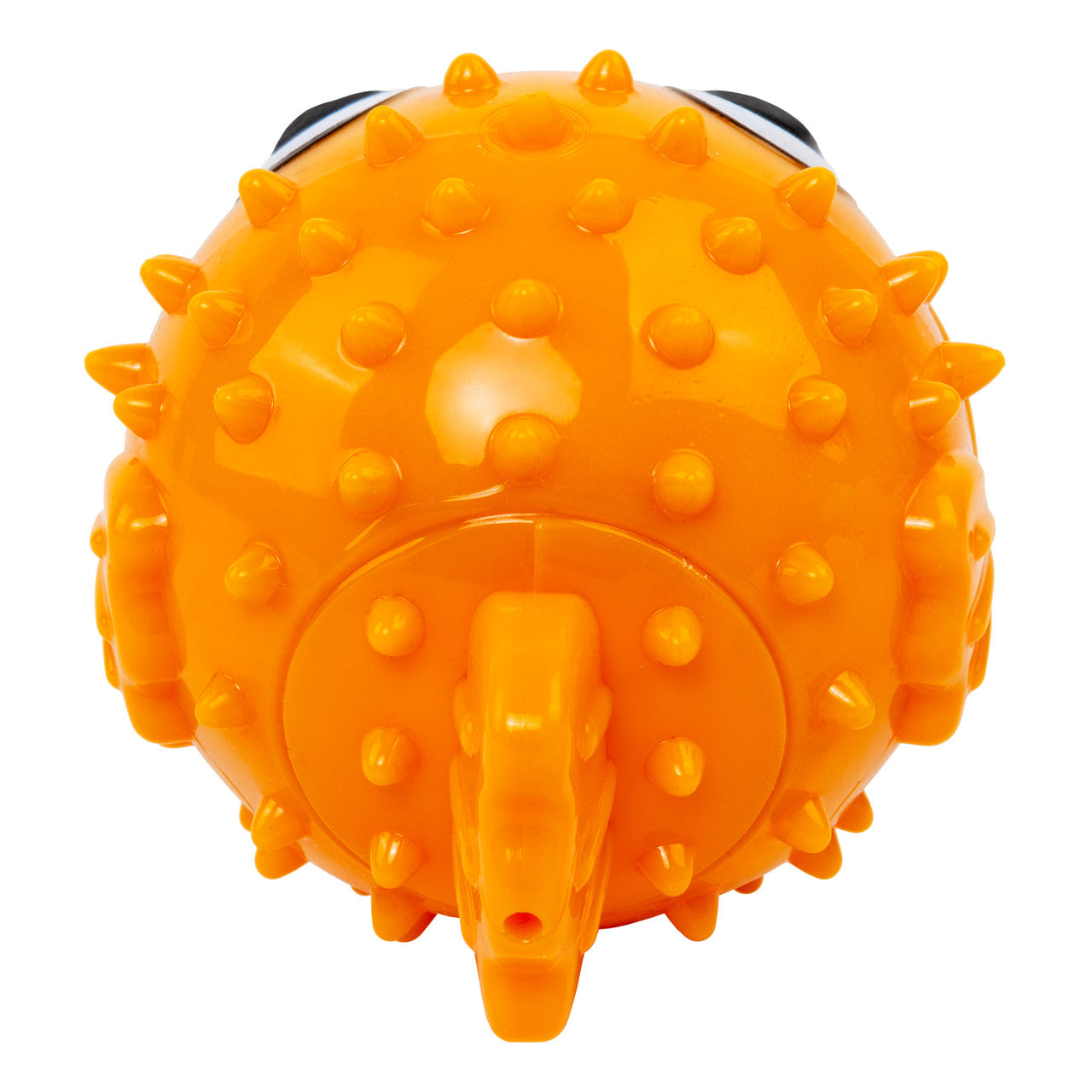 Grinz Puffer Fish
