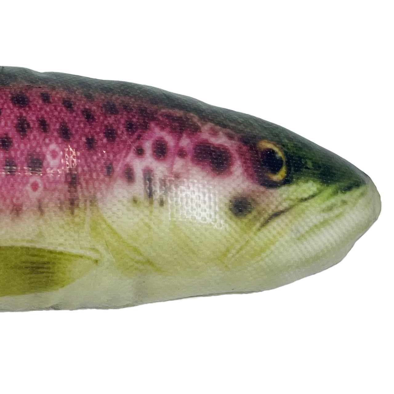 Wild Shieldz Trout