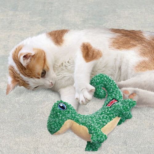 Cat Luvs Lizard
