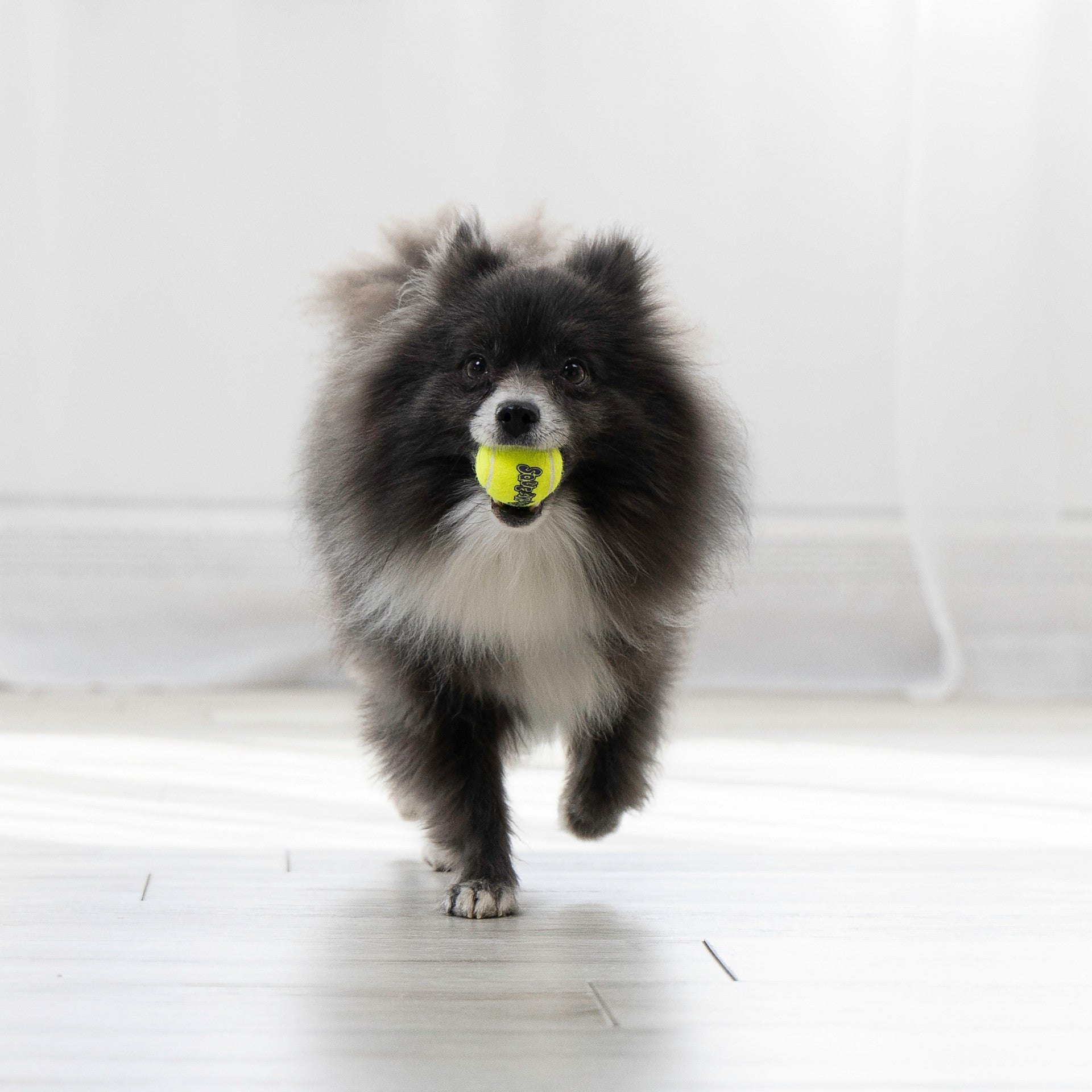 SqueakAir Balls, 3 Pack