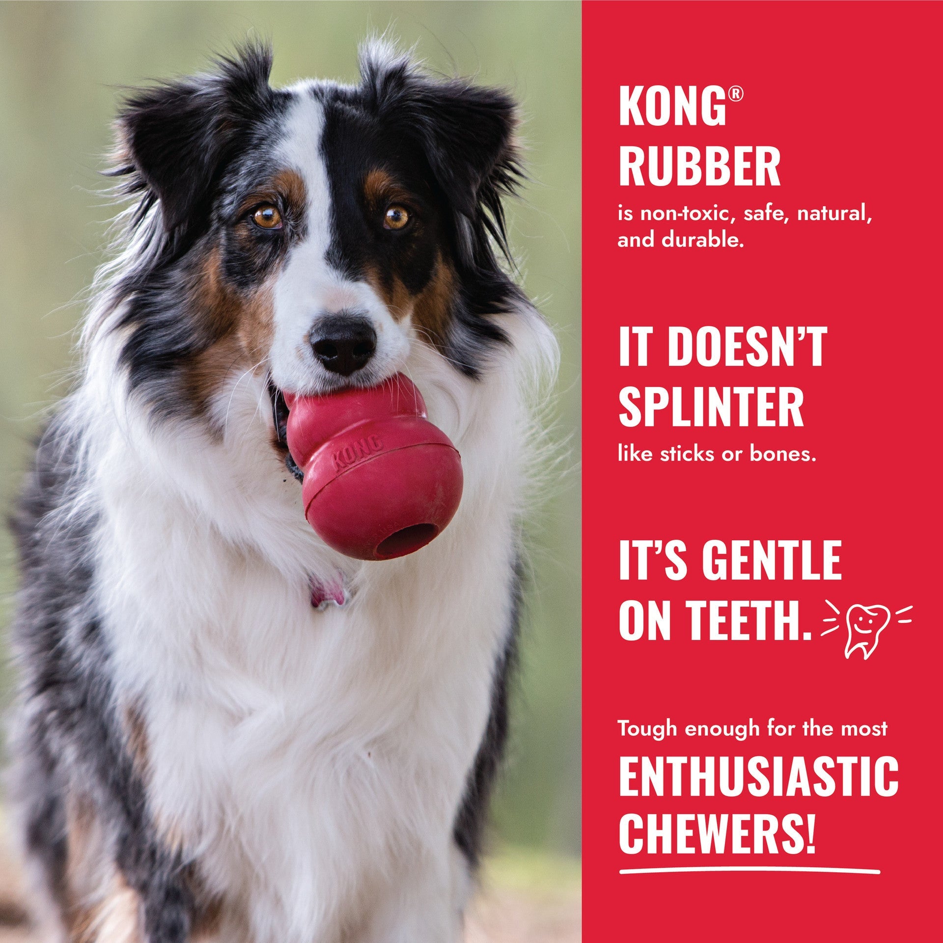 KONG Goodie Ribbon