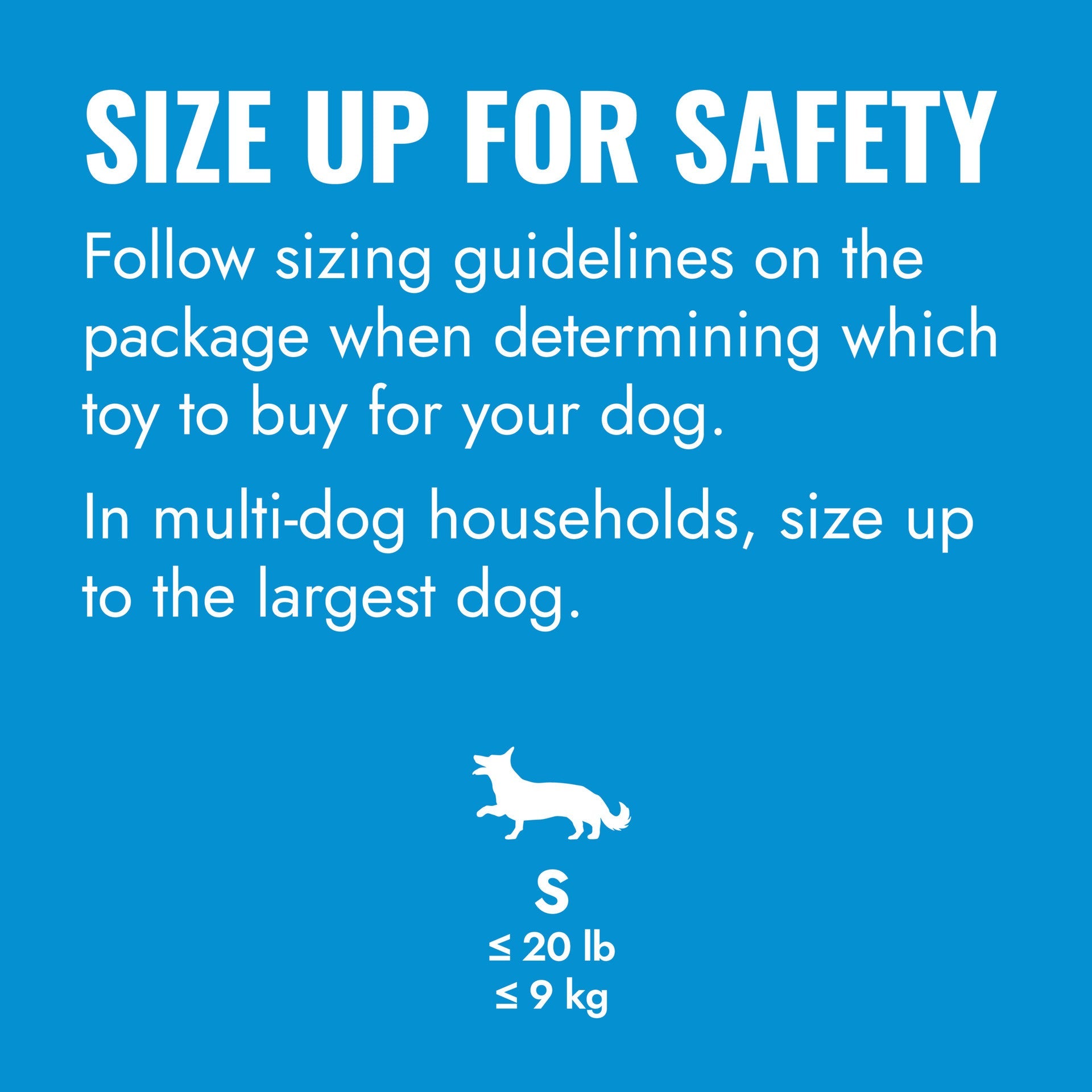KONG Puppy Flyer, Blue