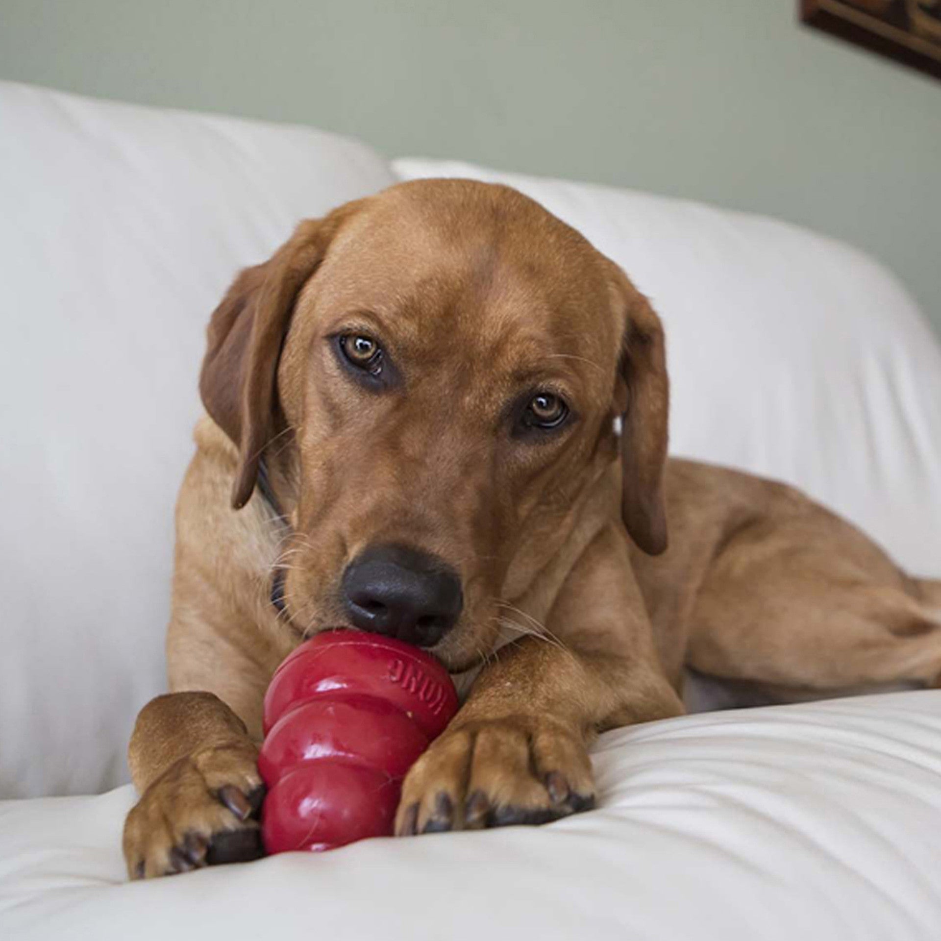 Snacks Liver