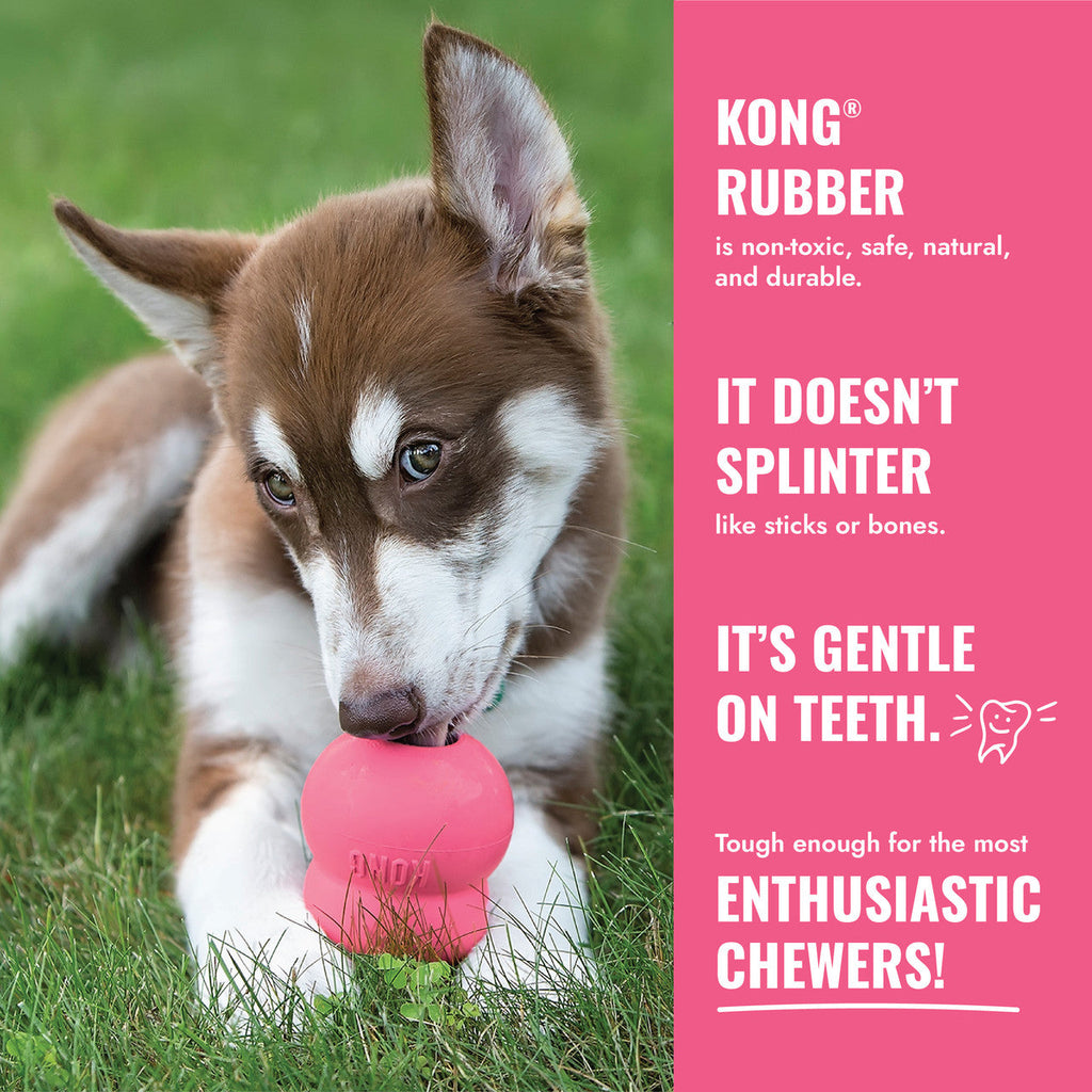 KONG Puppy Goodie Bone w/ Rope Pink